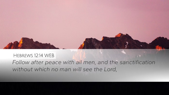 Hebrews 12:14 WEB Bible Verse Image
