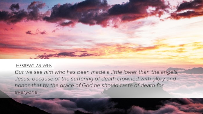 Hebrews 2:9 WEB Bible Verse Image