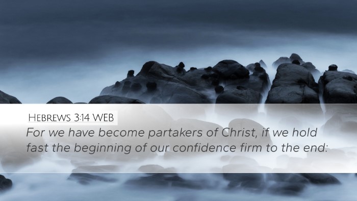 Hebrews 3:14 WEB Bible Verse Image