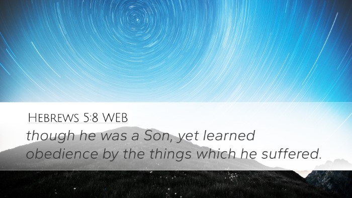 Hebrews 5:8 WEB Bible Verse Image