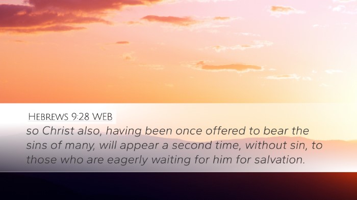 Hebrews 9:28 WEB Bible Verse Image