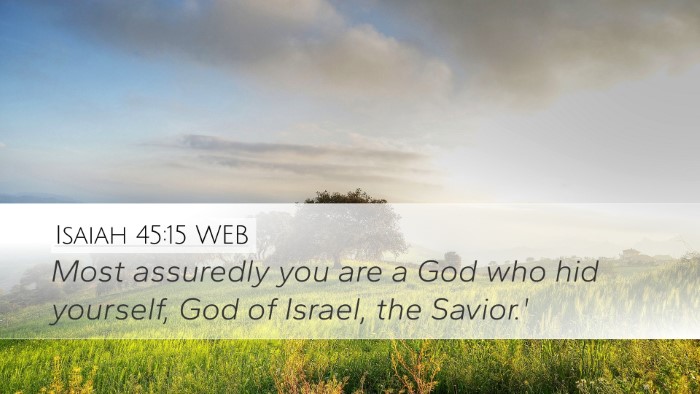 Isaiah 45:15 WEB Bible Verse Image