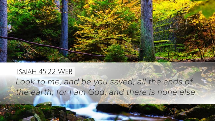 Isaiah 45:22 WEB Bible Verse Image