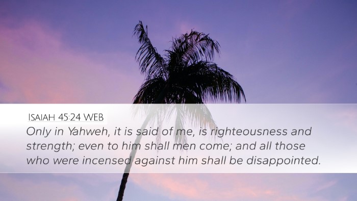 Isaiah 45:24 WEB Bible Verse Image