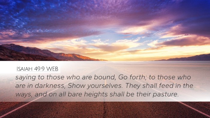 Isaiah 49:9 WEB Bible Verse Image