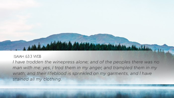 Isaiah 63:3 WEB Bible Verse Image