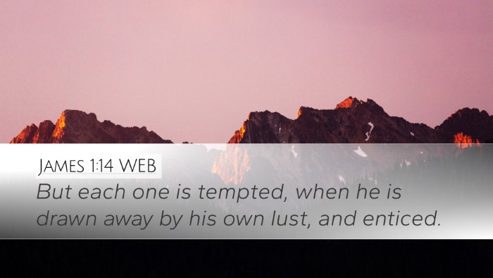 James 1:14 WEB Bible Verse Image