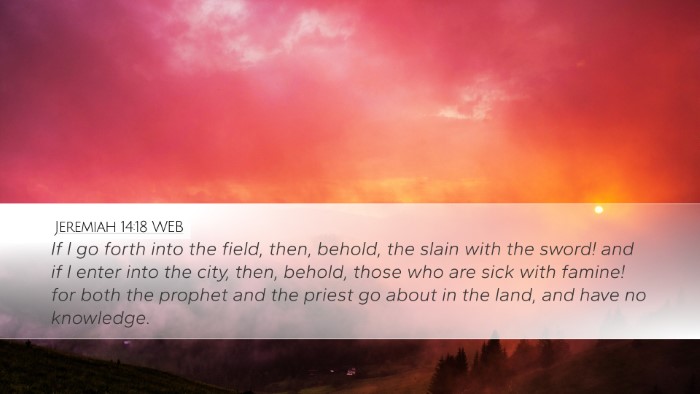 Jeremiah 14:18 WEB Bible Verse Image