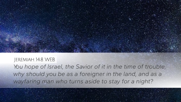 Jeremiah 14:8 WEB Bible Verse Image