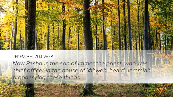 Jeremiah 20:1 WEB Bible Verse Image