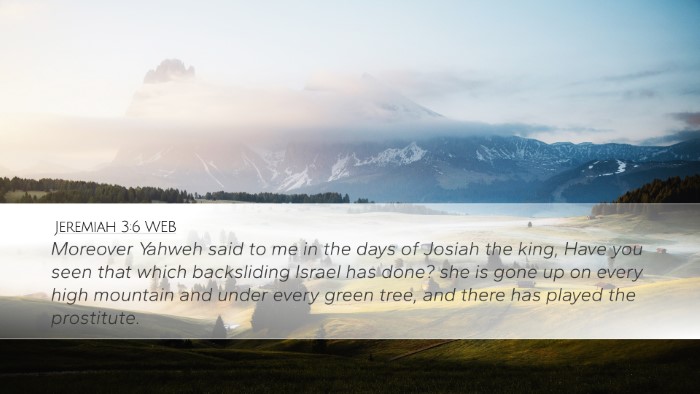 Jeremiah 3:6 WEB Bible Verse Image