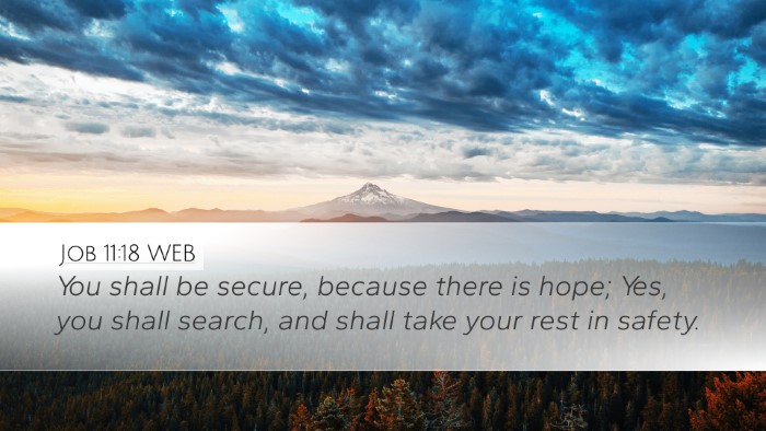 Job 11:18 WEB Bible Verse Image