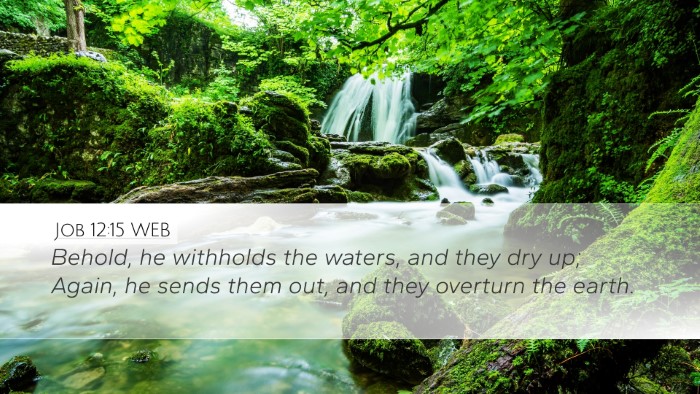 Job 12:15 WEB Bible Verse Image