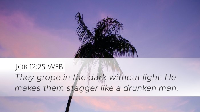 Job 12:25 WEB Desktop Wallpaper - They grope in the dark without light. He makes - Desktop Bible Verse Wallpaper