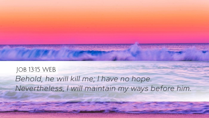 Job 13:15 WEB Bible Verse Image