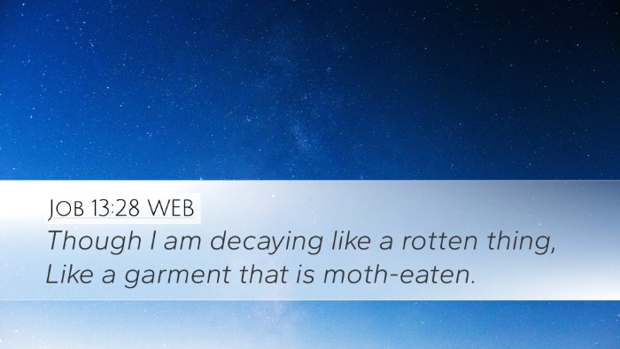 Job 13:28 WEB Bible Verse Image