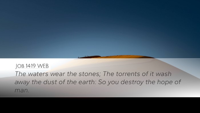 Job 14:19 WEB Bible Verse Image