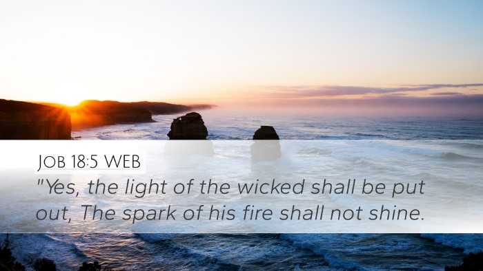 Job 18:5 WEB Bible Verse Image