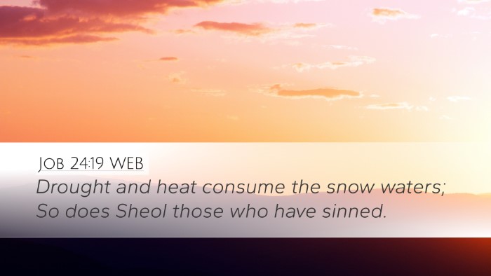 Job 24:19 WEB Bible Verse Image