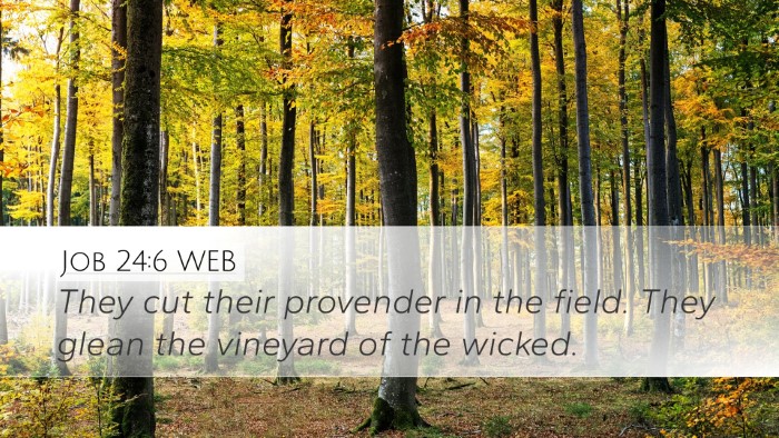 Job 24:6 WEB Desktop Wallpaper - They cut their provender in the field. They glean - Desktop Bible Verse Wallpaper