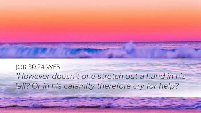 Job 30:24 WEB Desktop Wallpaper - 