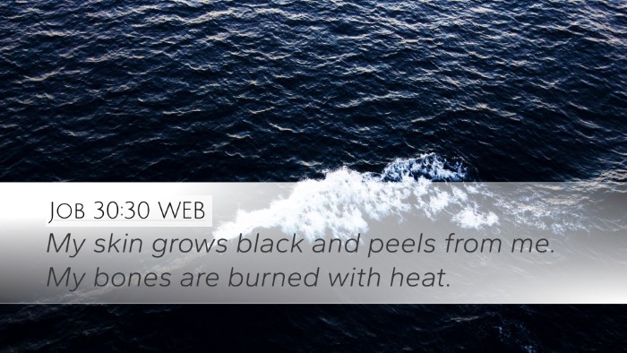 Job 30:30 WEB Bible Verse Image