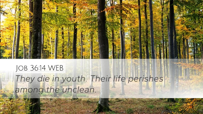 Job 36:14 WEB Bible Verse Image