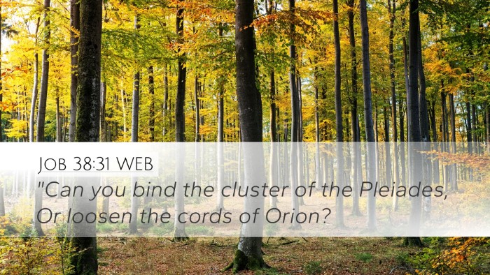 Job 38:31 WEB Bible Verse Image