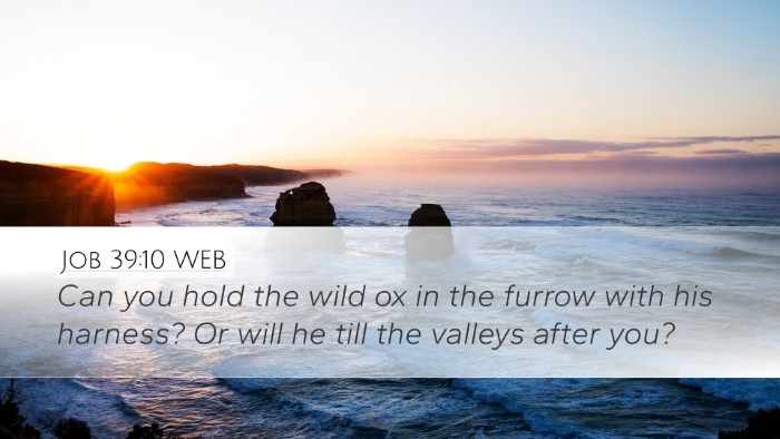 Job 39:10 WEB Desktop Wallpaper - Can you hold the wild ox in the furrow with his - Desktop Bible Verse Wallpaper