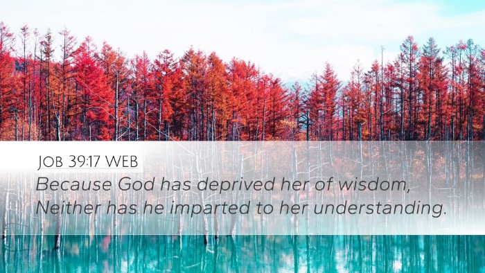 Job 39:17 WEB Bible Verse Image