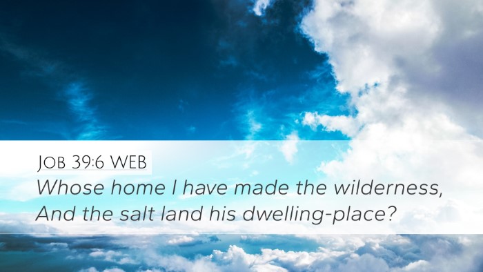 Job 39:6 WEB Desktop Wallpaper - Whose home I have made the wilderness, And the - Desktop Bible Verse Wallpaper