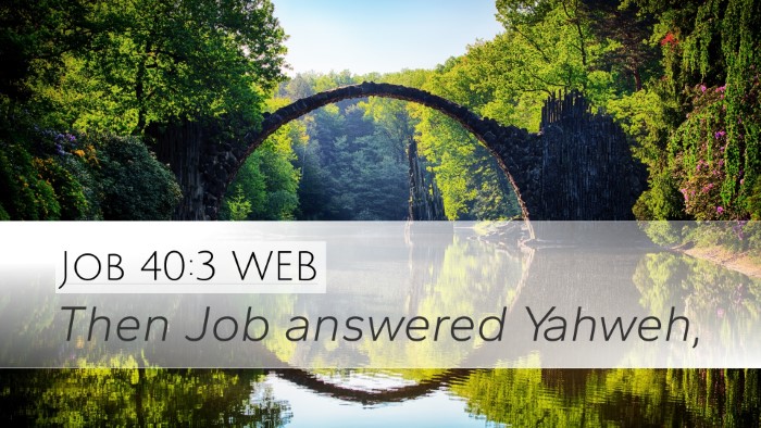 Job 40:3 WEB Desktop Wallpaper - Then Job answered - Desktop Bible Verse Wallpaper