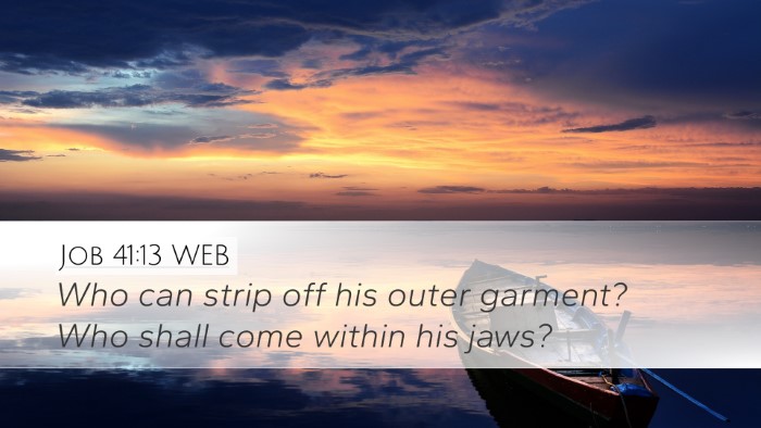 Job 41:13 WEB Desktop Wallpaper - Who can strip off his outer garment? Who shall - Desktop Bible Verse Wallpaper