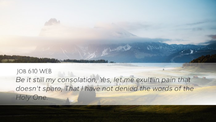Job 6:10 WEB Bible Verse Image
