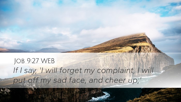 Job 9:27 WEB Bible Verse Image