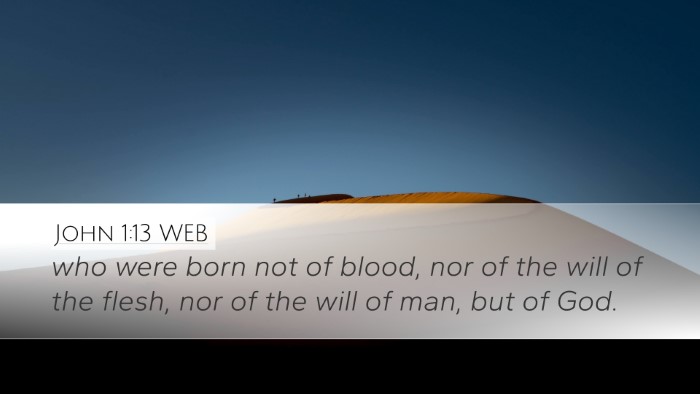 John 1:13 WEB Bible Verse Image