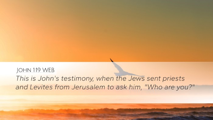 John 1:19 WEB Bible Verse Image