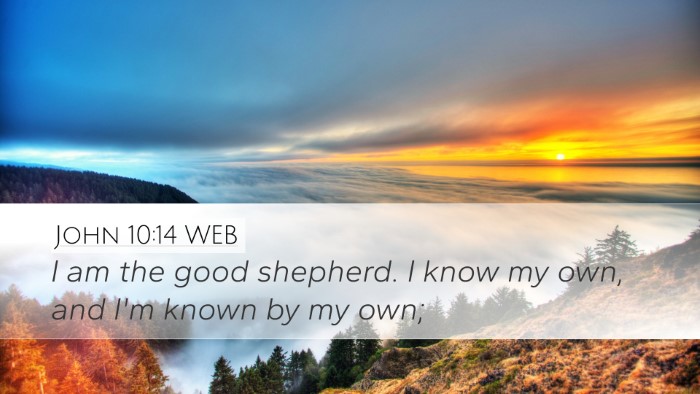 John 10:14 WEB Bible Verse Image