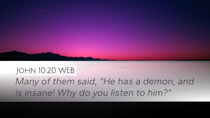 John 10:20 WEB Bible Verse Image