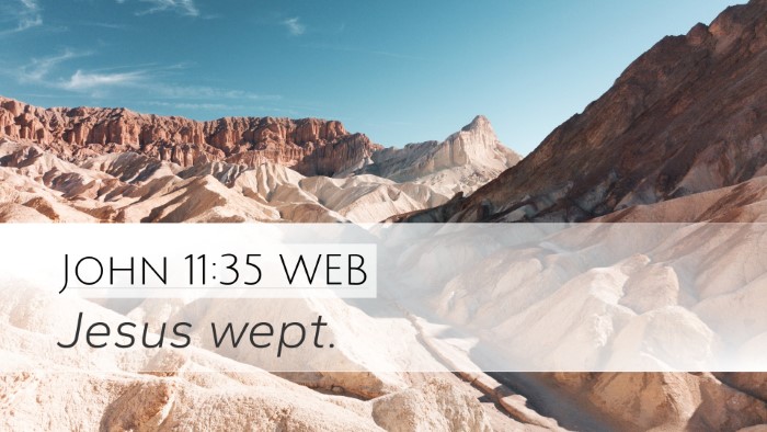 John 11:35 WEB Bible Verse Image