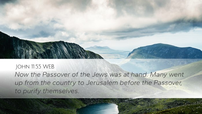 John 11:55 WEB Bible Verse Image