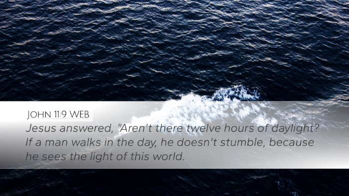 John 11:9 WEB Bible Verse Image