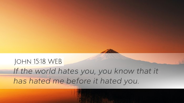 John 15:18 WEB Bible Verse Image