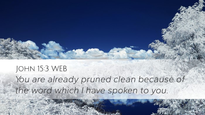 John 15:3 WEB Bible Verse Image