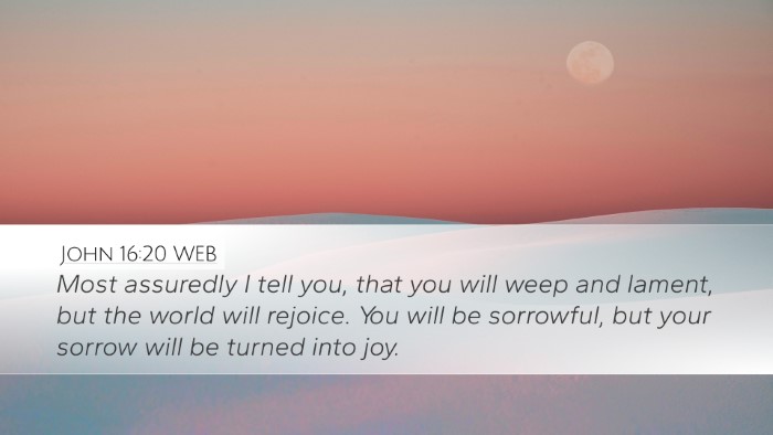 John 16:20 WEB Bible Verse Image
