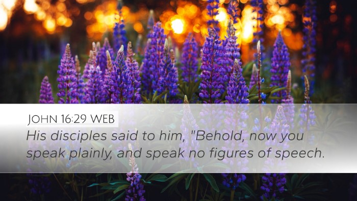 John 16:29 WEB Bible Verse Image