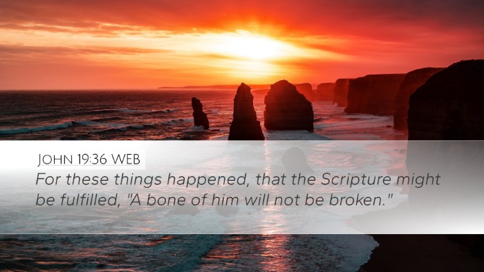John 19:36 WEB Bible Verse Image