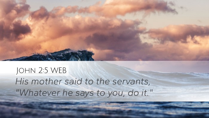 John 2:5 WEB Bible Verse Image