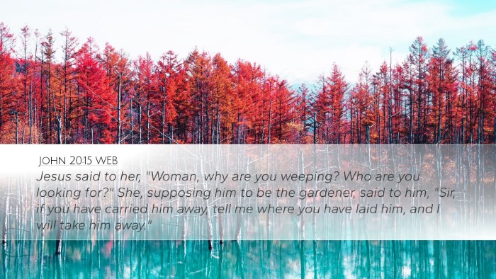 John 20:15 WEB Bible Verse Image