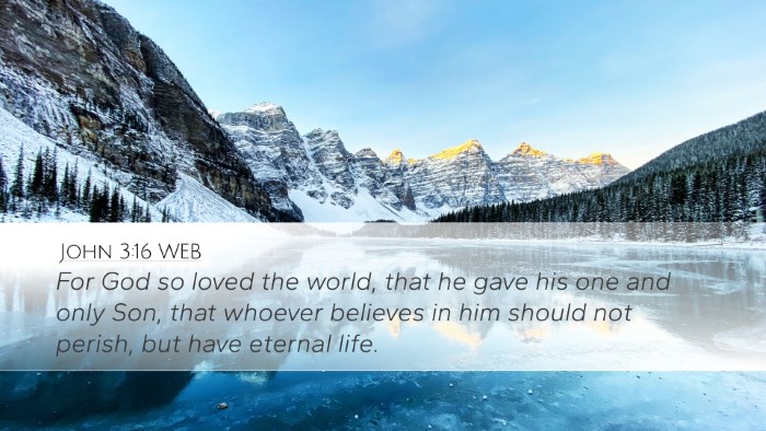 John 3:16 WEB Bible Verse Image